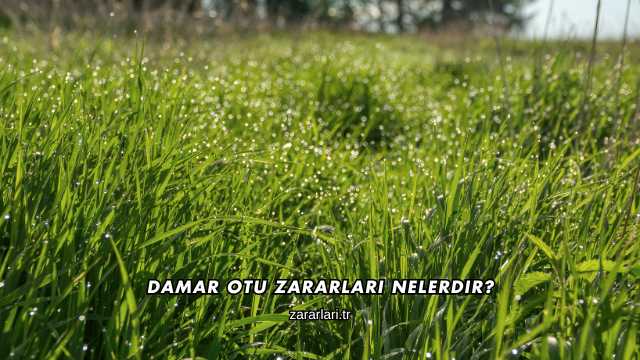 Damar Otu Zararları Nelerdir?