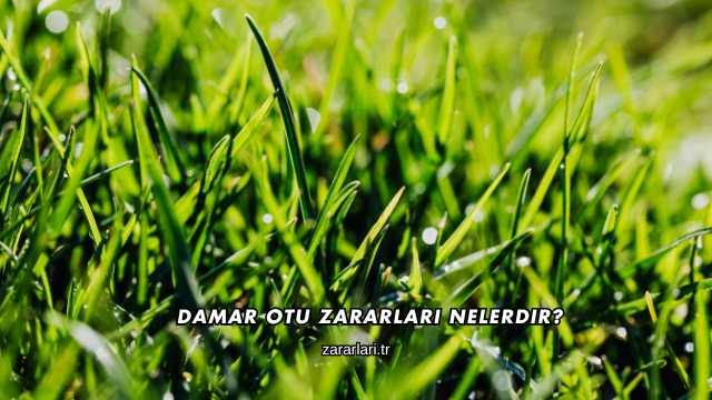 Damar Otu Zararları Nelerdir?