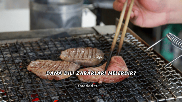 Dana Dili Zararları Nelerdir?