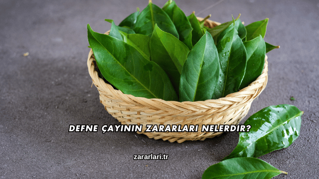 Defne Çayının Zararları Nelerdir?