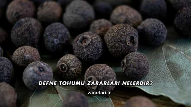 Defne Tohumu Zararları Nelerdir?