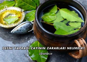 Defne Yaprağı Çayının Zararları Nelerdir?