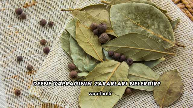 Defne Yaprağının Zararları Nelerdir