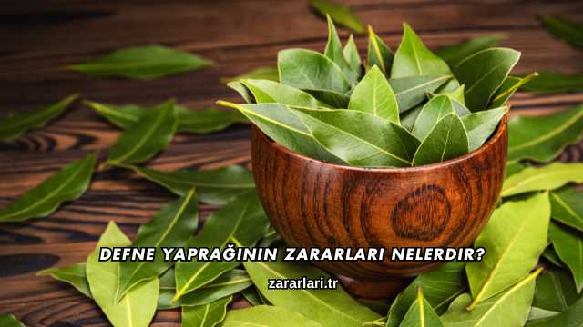 Defne Yaprağının Zararları Nelerdir