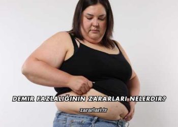 Demir Fazlalığının Zararları Nelerdir?
