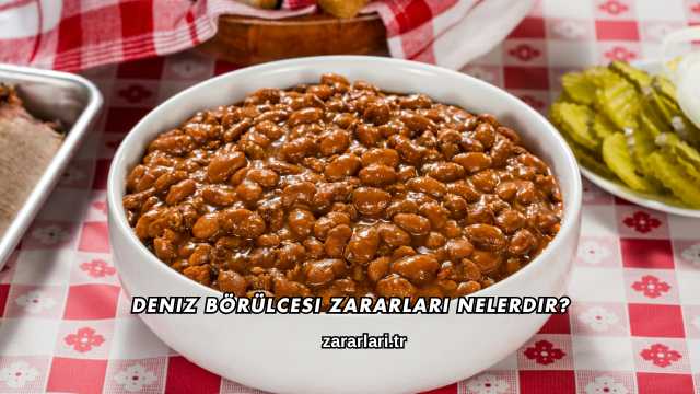 Deniz Börülcesi Zararları Nelerdir?