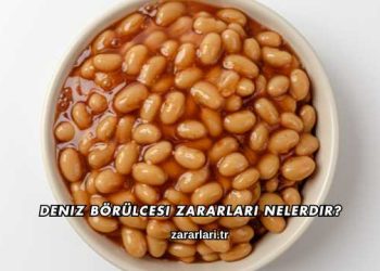 Deniz Börülcesi Zararları Nelerdir?