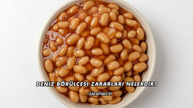 Deniz Börülcesi Zararları Nelerdir?
