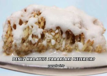 Deniz Kadayıfı Zararları Nelerdir?