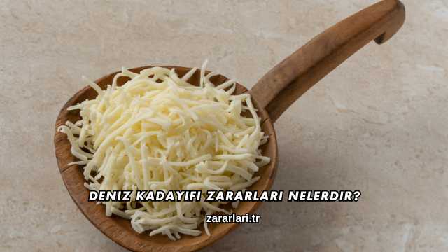 Deniz Kadayıfı Zararları Nelerdir?