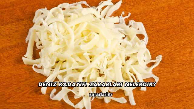 Deniz Kadayıfı Zararları Nelerdir?