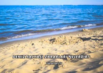 Deniz Salyası Zararları Nelerdir?