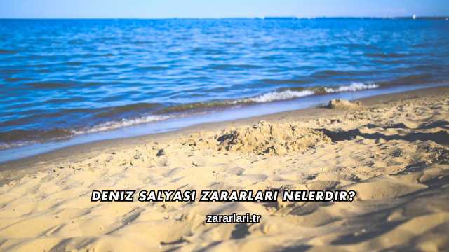 Deniz Salyası Zararları Nelerdir?