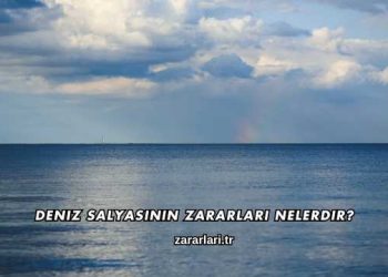Deniz Salyasının Zararları Nelerdir?