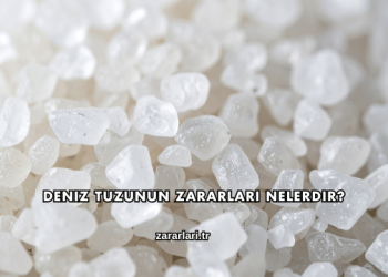 Deniz Tuzunun Zararları Nelerdir?
