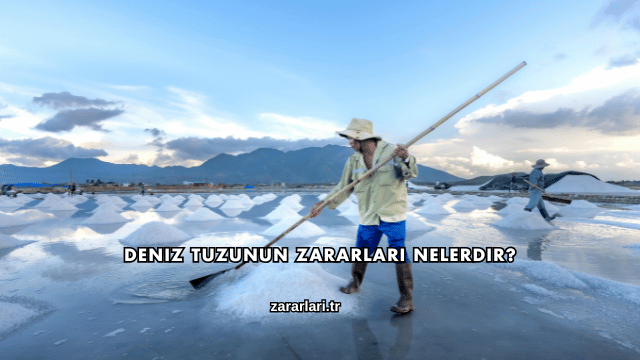Deniz Tuzunun Zararları Nelerdir?