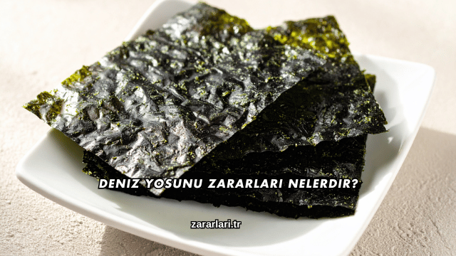 Deniz Yosunu Zararları Nelerdir?