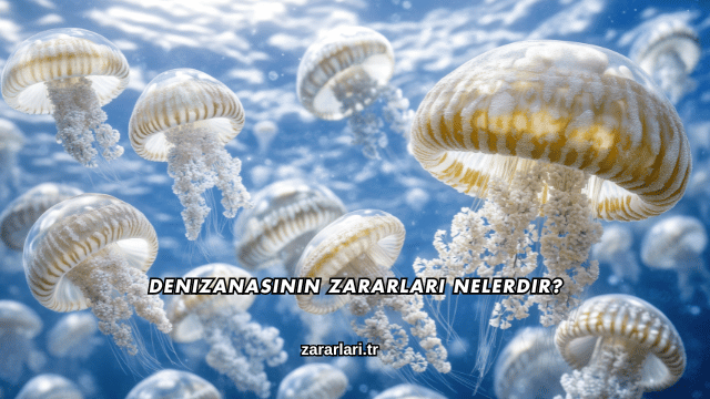 Denizanasının Zararları Nelerdir?