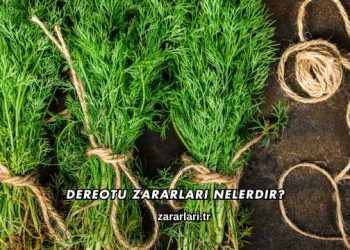 Dereotu Zararları Nelerdir?