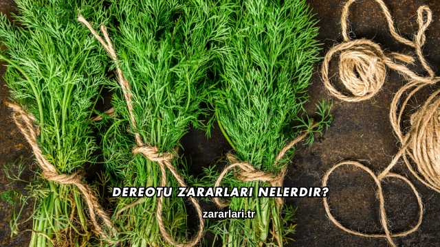 Dereotu Zararları Nelerdir?