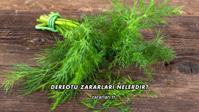 Dereotu Zararları Nelerdir?
