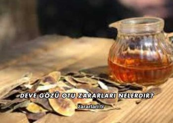 Deve Gözü Otu Zararları Nelerdir?