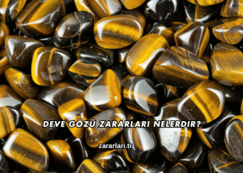 Deve Gözü Zararları Nelerdir?