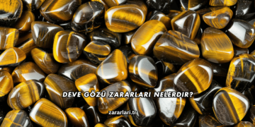 Deve Gözü Zararları Nelerdir?