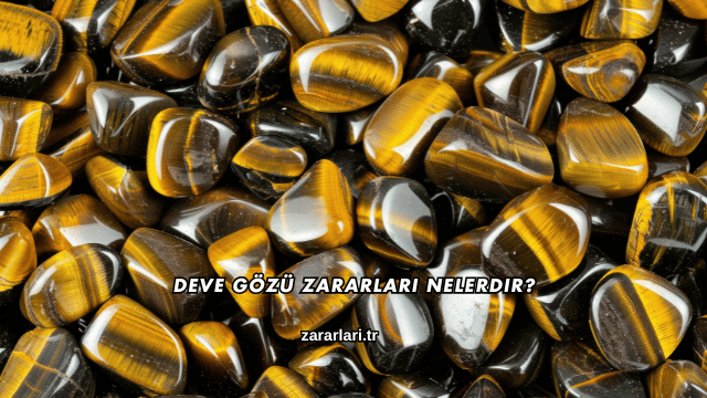 Deve Gözü Zararları Nelerdir?