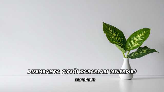 Difenbahya Çiçeği Zararları Nelerdir?