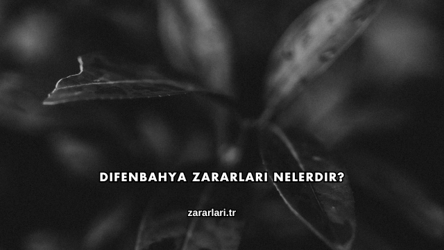 Difenbahya Zararları Nelerdir?