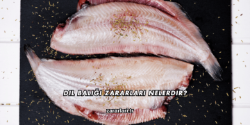 Dil Balığı Zararları Nelerdir?
