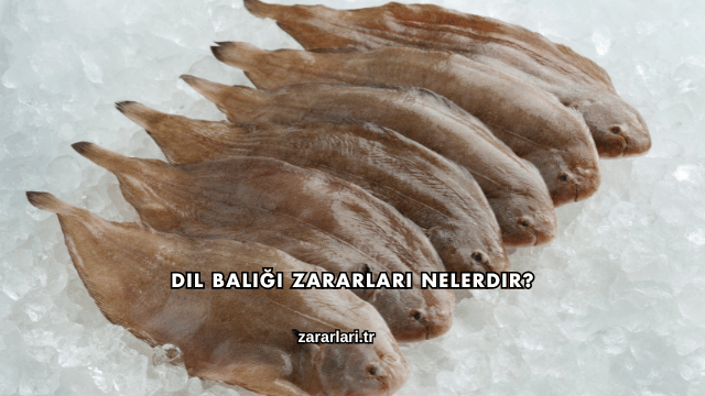 Dil Balığı Zararları Nelerdir?