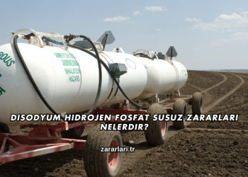 Disodyum Hidrojen Fosfat Susuz Zararları Nelerdir?