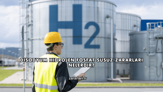 Disodyum Hidrojen Fosfat Susuz Zararları Nelerdir?