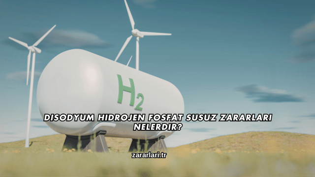 Disodyum Hidrojen Fosfat Susuz Zararları Nelerdir?