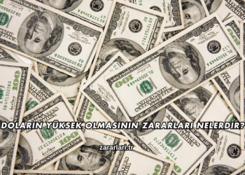 Doların Yüksek Olmasının Zararları Nelerdir?