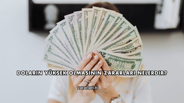 Doların Yüksek Olmasının Zararları Nelerdir?