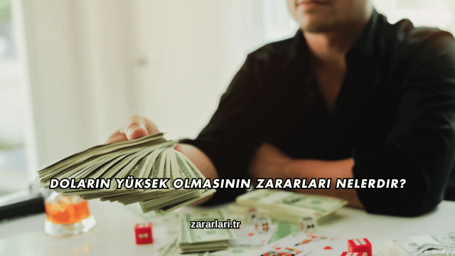 Doların Yüksek Olmasının Zararları Nelerdir?