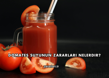 Domates Suyunun Zararları Nelerdir?