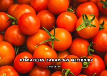 Domatesin Zararları Nelerdir?