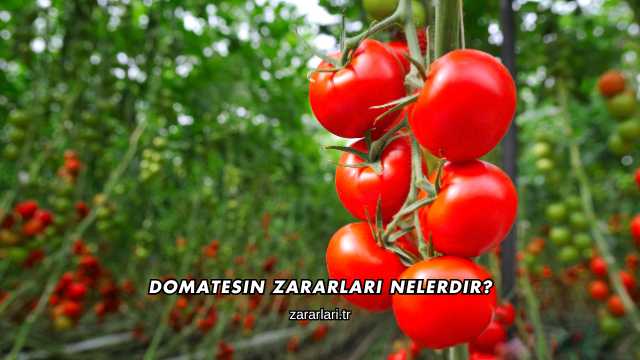 Domatesin Zararları Nelerdir?