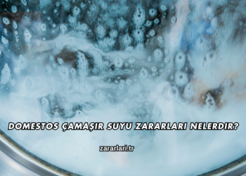 Domestos Çamaşır Suyu Zararları Nelerdir?