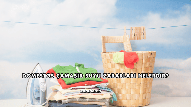 Domestos Çamaşır Suyu Zararları Nelerdir?