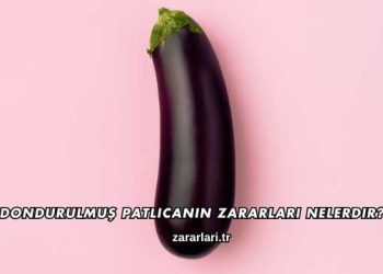 Dondurulmuş Patlıcanın Zararları Nelerdir?