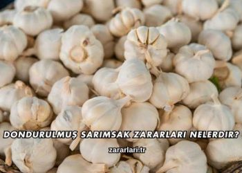 Dondurulmuş Sarımsak Zararları Nelerdir?