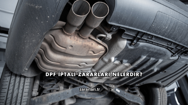 Dpf İptali Zararları Nelerdir?