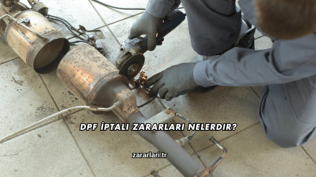 Dpf İptali Zararları Nelerdir?
