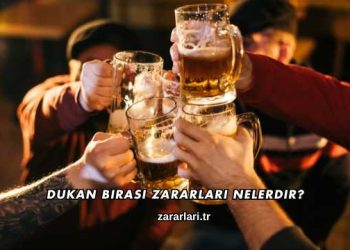 Dukan Birası Zararları Nelerdir?