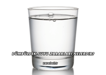 Dümbüldek Suyu Zararları Nelerdir?